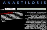 07 anastilosis
