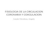 Fisiologia de La Circulacion Coronaria y Coagulacion