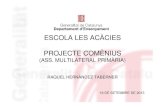 Projecte Comenius de l’escola Les Acàcies de Barcelona.