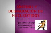 Sintesis y Degradacion de Nucleotidos