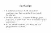 Form - Otro Manual de SapScript