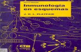 Inmunología en Esquemas