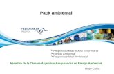 2012 04 presentacion pack ambientall h cuffia