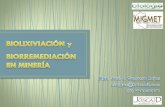Biolixiviacion biorremediacion moq tac 2014 (1)