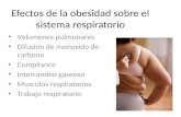 Efectos de La Obesidad Sobre El Sistema Respiratorio