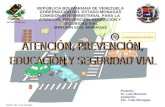 Atención, Prevención, educación y seguridad víal (Dr. Luis M