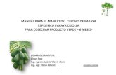 Plan de Manejo Papaya Digital[1]
