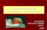 Ictericia en El Periodo Neonatal[1]