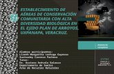 ESTABLECIMIENTO DE AÉREAS DE CONSERVACIÓN EN UXPANAPA (corregido).pptx