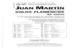 Juan Martin - Guitarra Flamenca - Solos Flamencos - 42 Solos - Nivel Completo