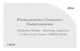 Planteamientos generales endulzamiento-Guillermo Medda – Brenntag Argentina