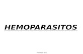 Clase Hemoparasitos 2011