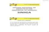 Presentacion Siniiga Sistema Prod Ovinos 20012012