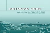 Manual practico auto cad 2006