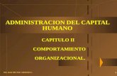 ADMINISTRACION DEL CAPITAL HUMANO CAPITULO II.ppt