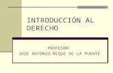 INTRODUCCION AL DERECHO_curso UNMSM Ñique de la Puente