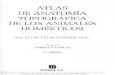 Popesko Peter - Atlas de Anatomia Topografica de Los Animales Domesticos T1