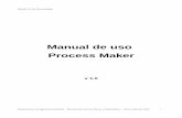 Manual de Uso ProcessMaker