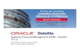 Oracle Aplicaciones: Novedades hfm 11 1 2. III Foro de Cajas, Oracle Hyperion.