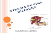 ATRESIA DE VIAS BILIARES I.ppt