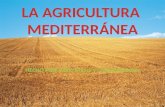 Agricultura mediterránea