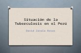 4 Situaci�n de la Tuberculosis en el Per�.pptx