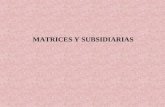 Presentacon Matrices y Subsidiarias Local