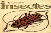 E.A. Seguy - Insectes