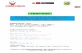 Manual Foncodes CastWampis Definitivo 16-04-11