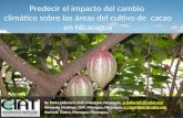 Martínez A - Cacao y Cambio Climatico Nicaragua