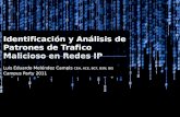 Identificación y análisis de patrones de trafico malicioso en redes ip