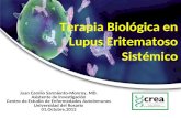 Terapia Biológica en Lupus Eritematoso Sistémico. JCS