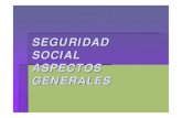 Módulo Laboral y Previsional - Regímenes de la seguridad social, aspectos generales.