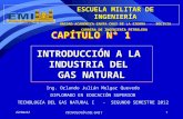 CAPÍTULO No 1 INTRODUCCIÓN A LA INDUSTRIA DEL GAS I