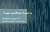 Diarrea Viral Bovina