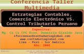 Archivo N° 01 Comercio Electronico vs Control rio Peruano