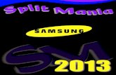 Samsung 2013