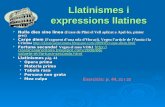 Llatinismes U1