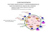 Clase 2.-Carcinogenesis 2013 Usmp