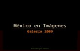 México: Galería 2009 (por: carlitosrangel) - Mexico