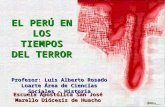 El Peru en los tiempos del terror