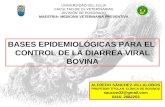 Diarrea Viral Bovina. Bases Epidemiologicas para su Control