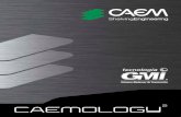 Mex gmi   caemology2