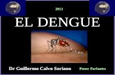 El Dengue - Imágenes y Conceptos