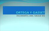 Ortega 101