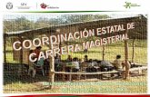 Carrera magisterial evaluac- 2013