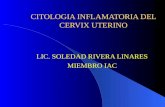 8.Citologia Inflmatoria Del Cervix Uterino