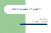 MECANISMO DE PARTO_PRESENTACION