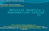 27 - Presentación 27 - Material Genético y Reproducción Celular II