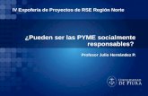 Presentacion rse pyme